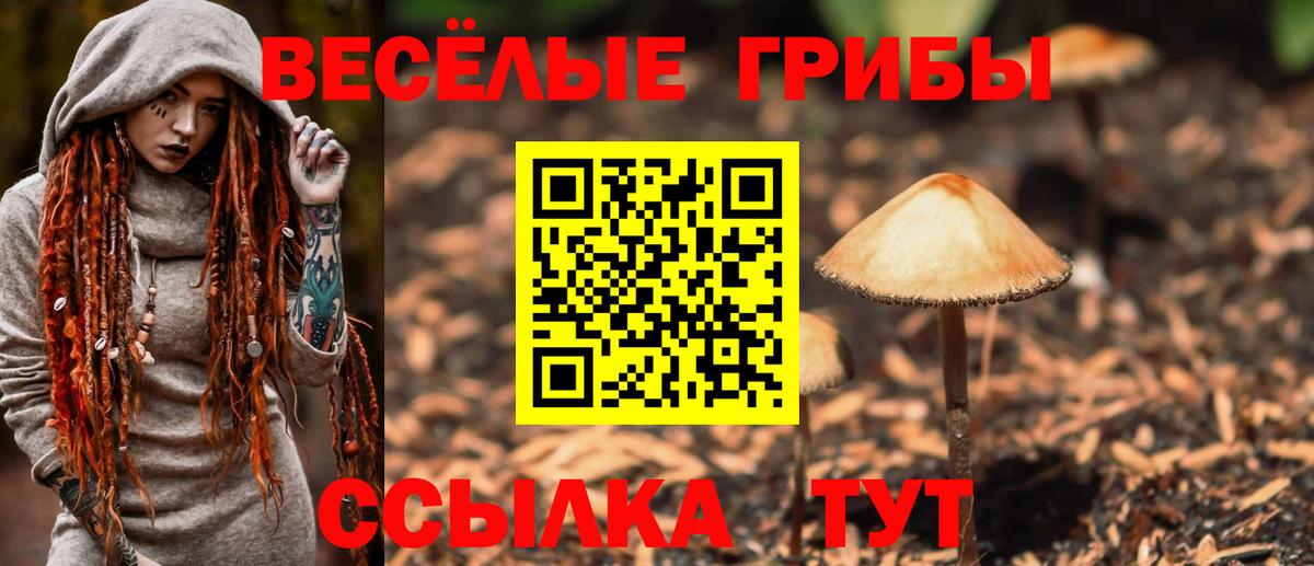 Добрянка  Псилоцибиновые грибы мухоморы  Псилоцибиновые грибы Magic Shrooms  Вход с VPN 